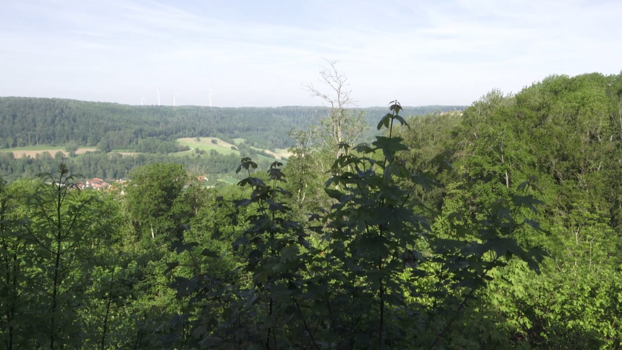 Ausblick Mawell Resort