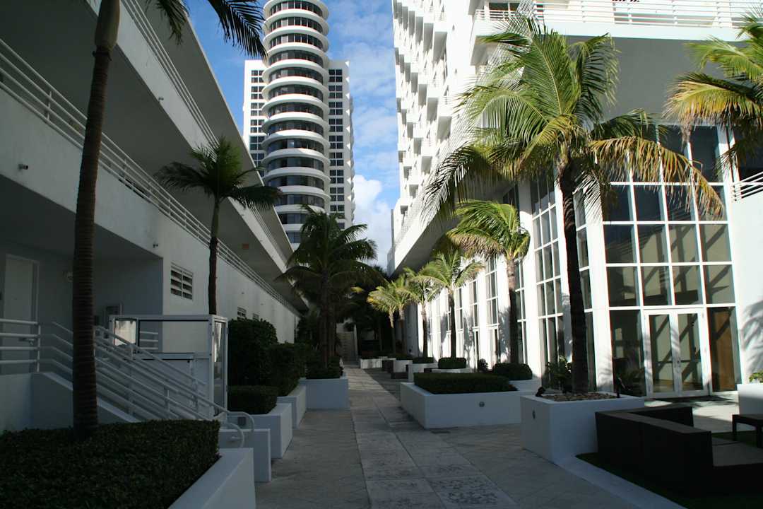 Vom Pool/Strand zum Hotel Royal Palm South Beach Miami, a Tribute Portfolio Resort