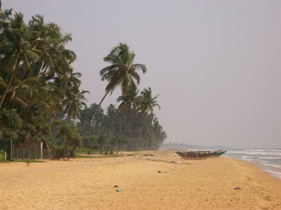 Traumhafter Strand Turyaa Kalutara
