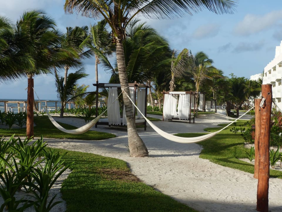 Gartenanlage zwischen Strand und Hotel Akumal Bay Beach & Wellness Resort