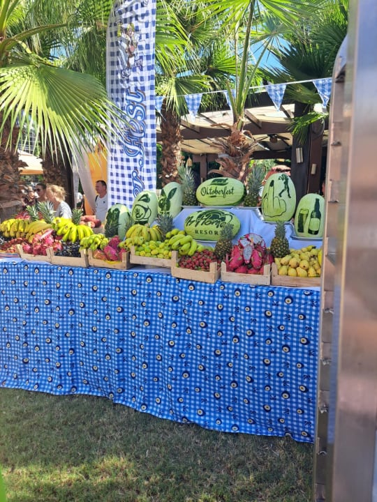 Gastro My Home Resort