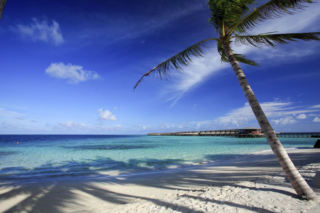 Strand Centara Ras Fushi Resort & Spa Maldives