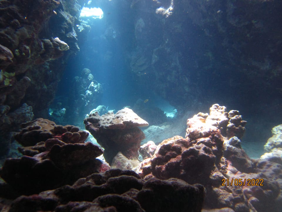 Sport & Freizeit The Oasis Dive Resort