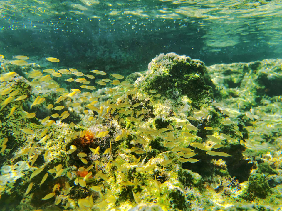 Strand Crystal Springs Beach Hotel