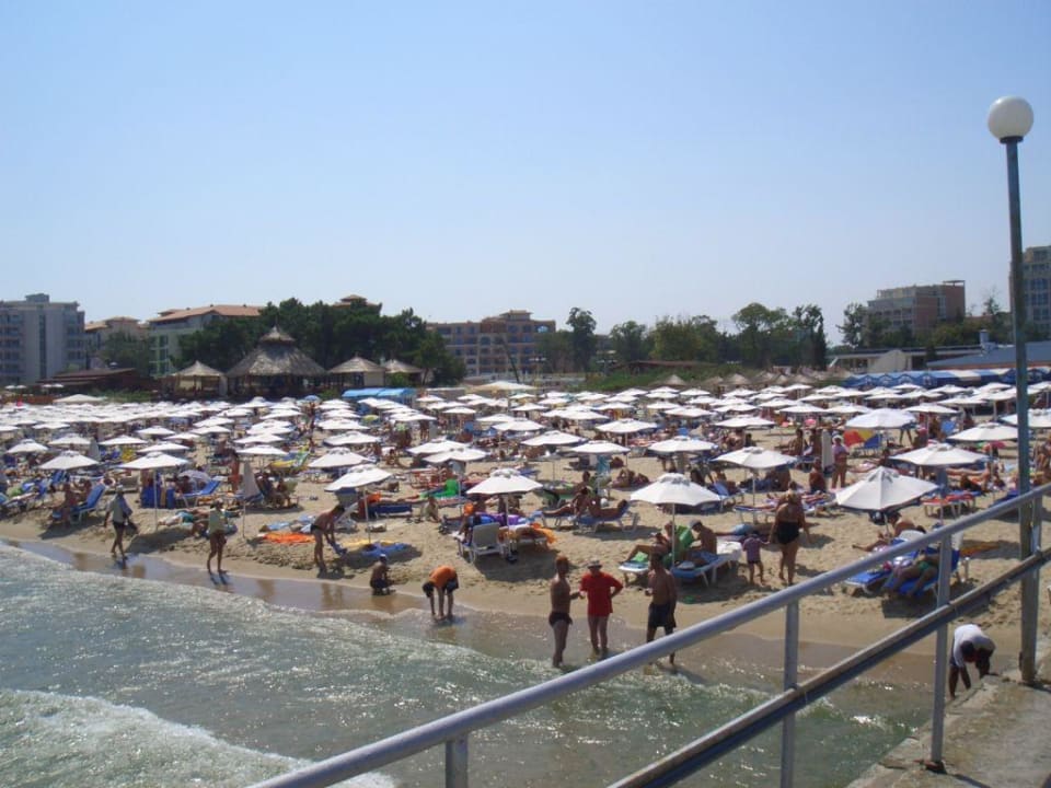 Strand Alba Sunny Beach