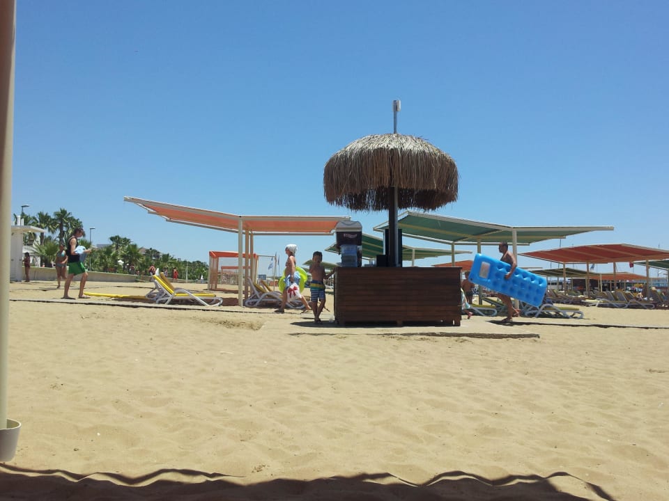 Warme und kalte Getränke Kamelya Aishen Club