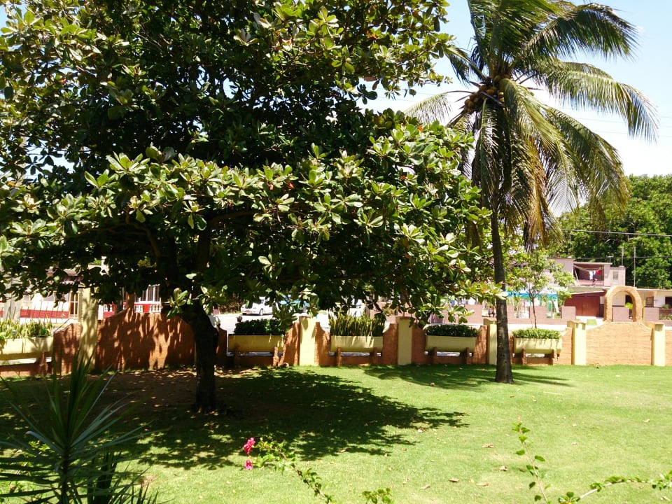 Hotel garden Hotel Roc Barlovento