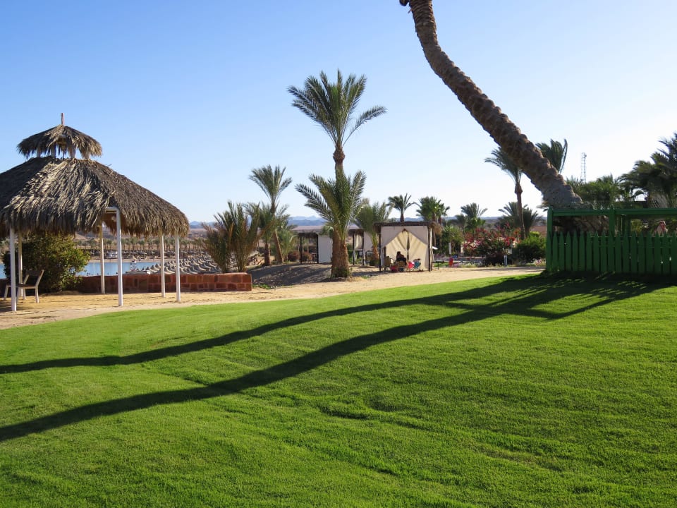 Ein Rasen wie am Golfplatz Steigenberger Coraya Beach - Adults only