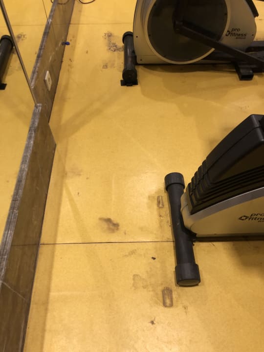 Sport & Freizeit Well Palace Side