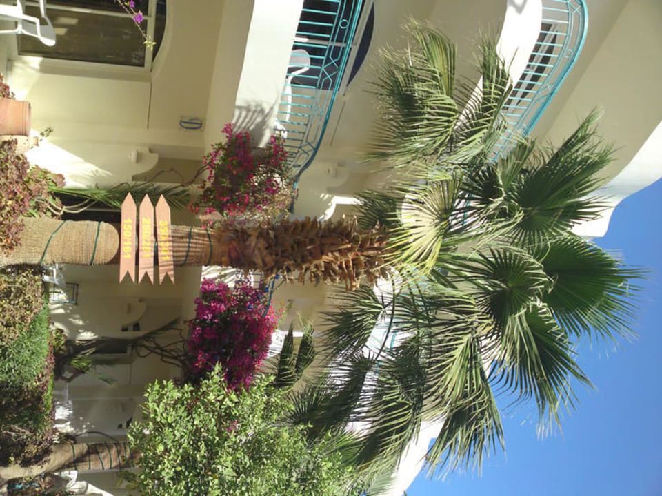 Im Garten Bella Vista Resort Hurghada