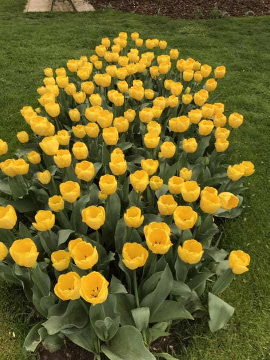 Gartenanlage Hotel Restaurant Rebstock Durbach