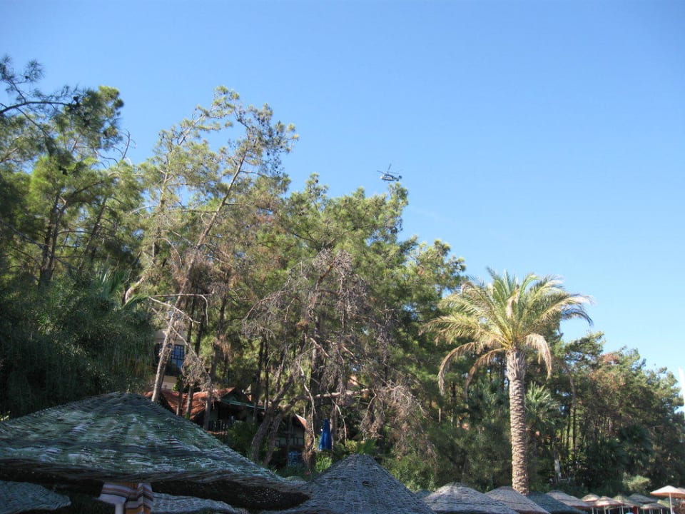 Пляж отеля Grand Yazici Club Marmaris Palace