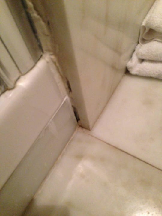 Aus den Löchern kamen Ameisen Hotel Best Roma