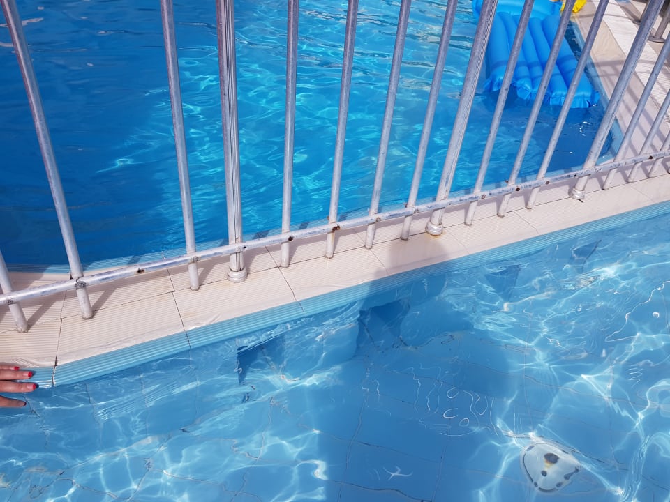 Pool Sealine