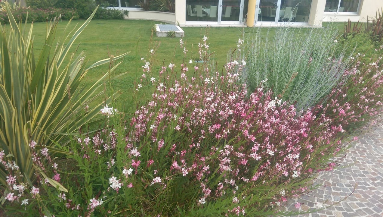 Garten Laguna Park Hotel