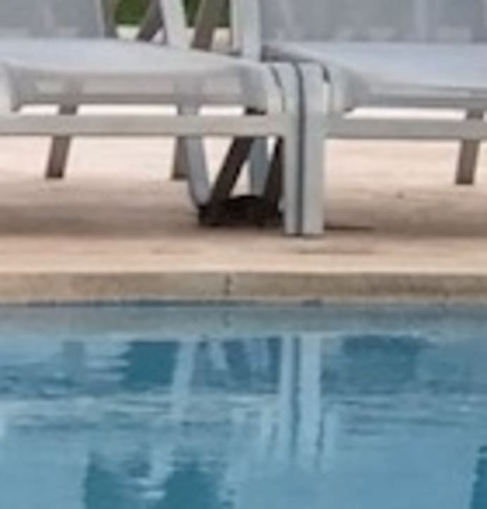 Pool Prinsotel La Dorada