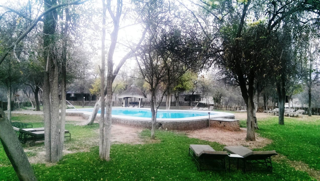 Pool Hotel Mushara Lodge