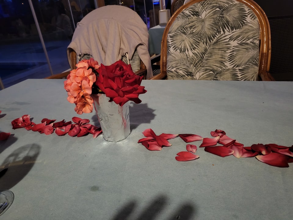 Gastro Önder Yildiz Hotel