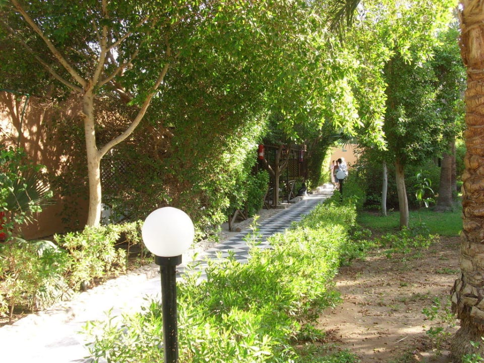 Weg vom Pool zu den Bungalows Giftun Azur Resort