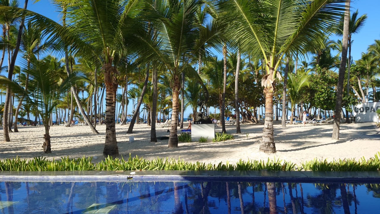 Strand Hotel Riu Palace Macao - Adults only