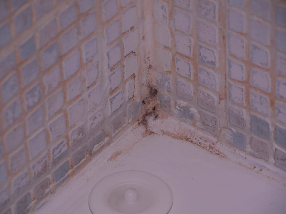 Schimmel im Bad Hotel Dinler Ürgüp