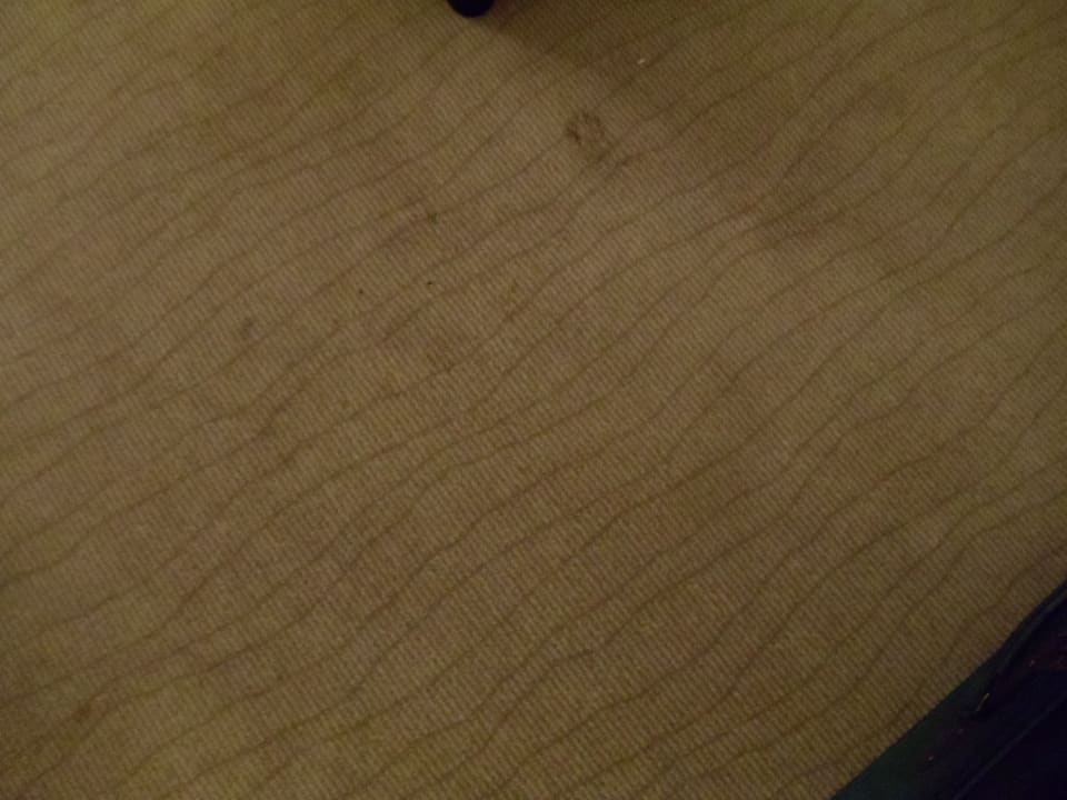 Zimmer Gasthaus Forster am See