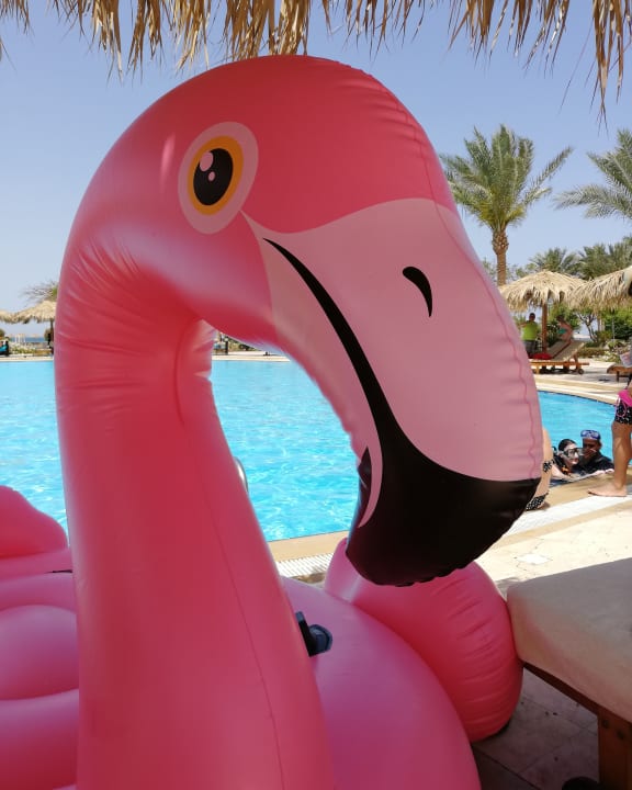 Pool Hurghada Long Beach Resort