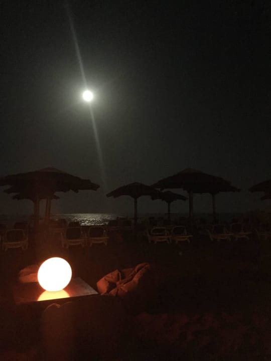 Shark Bay Bar Fujairah Rotana Resort & Spa