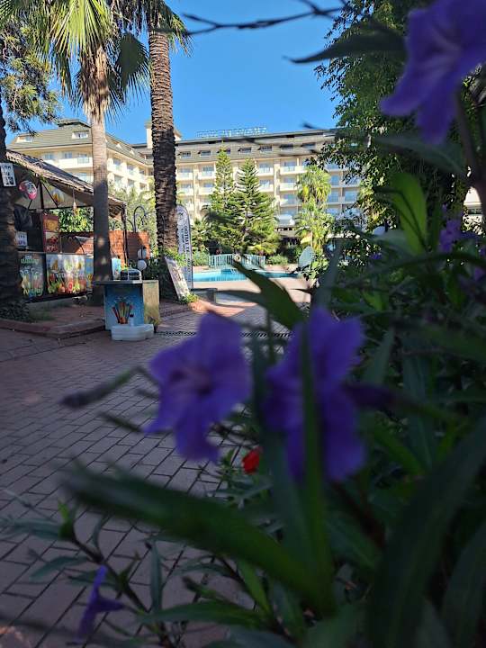 Gartenanlage MC Arancia Resort