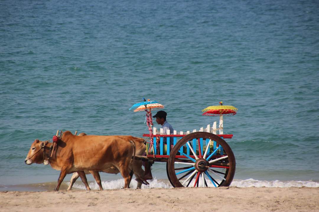 Da kann man mit fahren Hotel Aureum Palace Resort