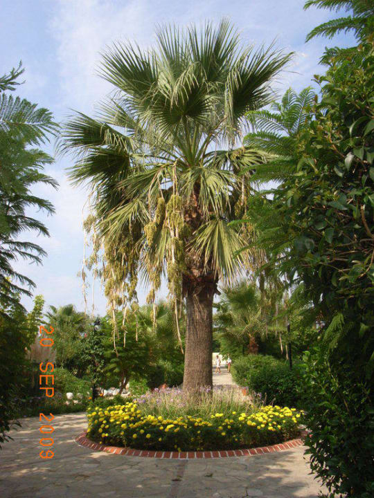 Gartenanlage Bella Resort & Spa