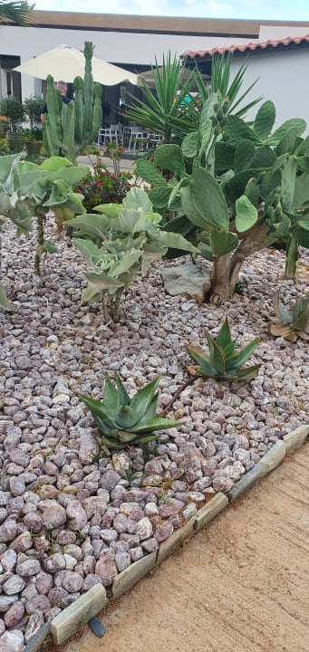 Gartenanlage Anissa Beach & Village