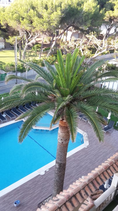 Pool R2 Lago Playa Park