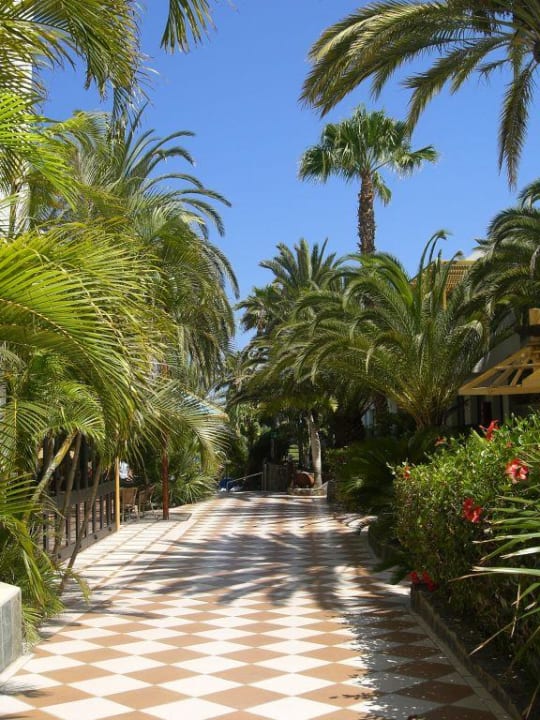 Kurzer Weg zu Pool und Strand Corallium Beach by Lopesan Hotels - Adults only