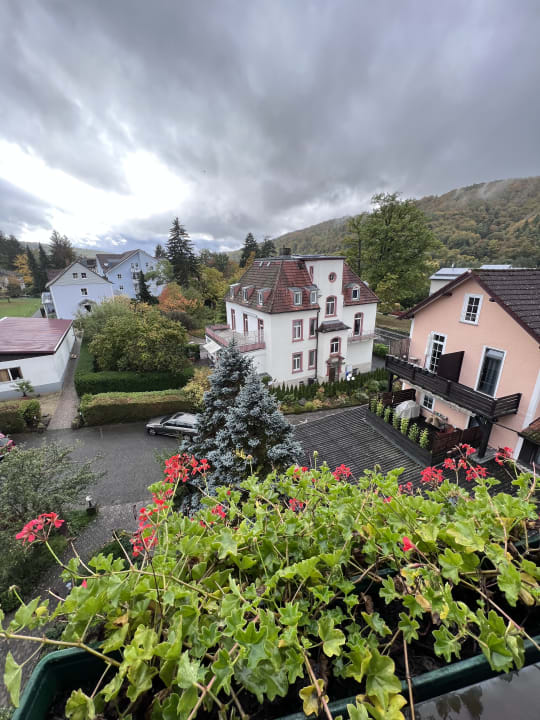 Ausblick Hotel Jägerhof