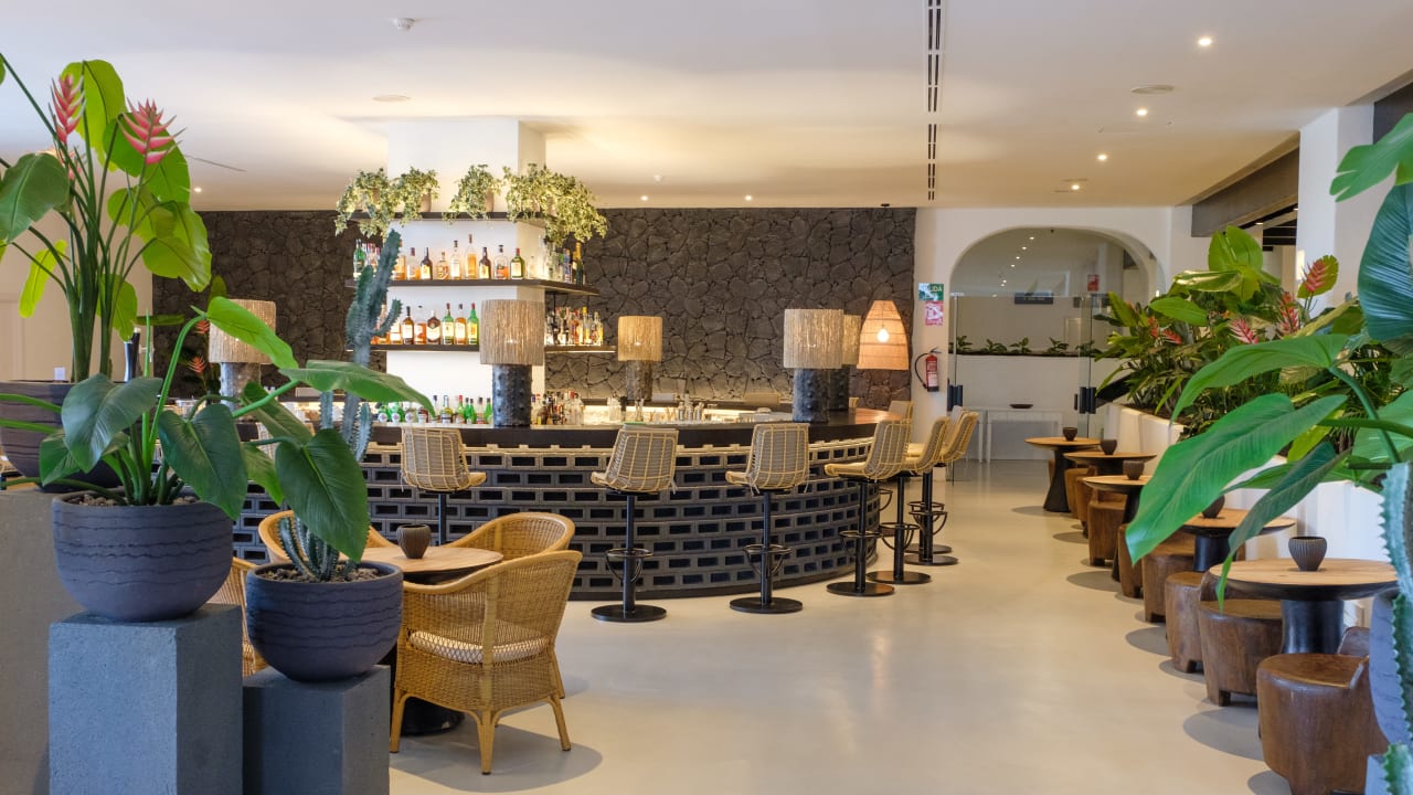 Gastro Dreams Jardín Tropical