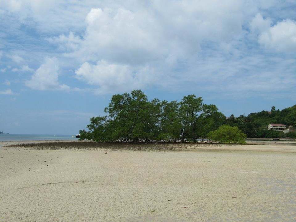 Strand bei Ebbe Auberge D'Anse Boileau