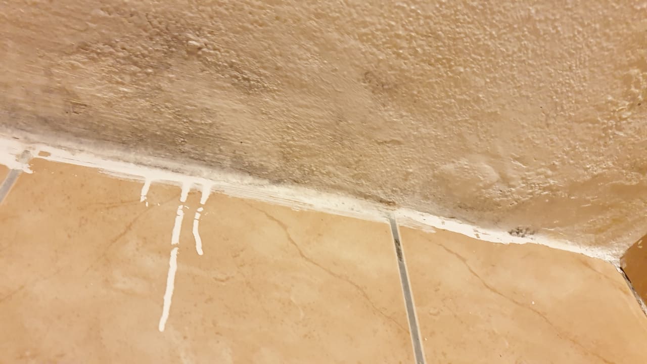 Zimmer Side Miami Beach