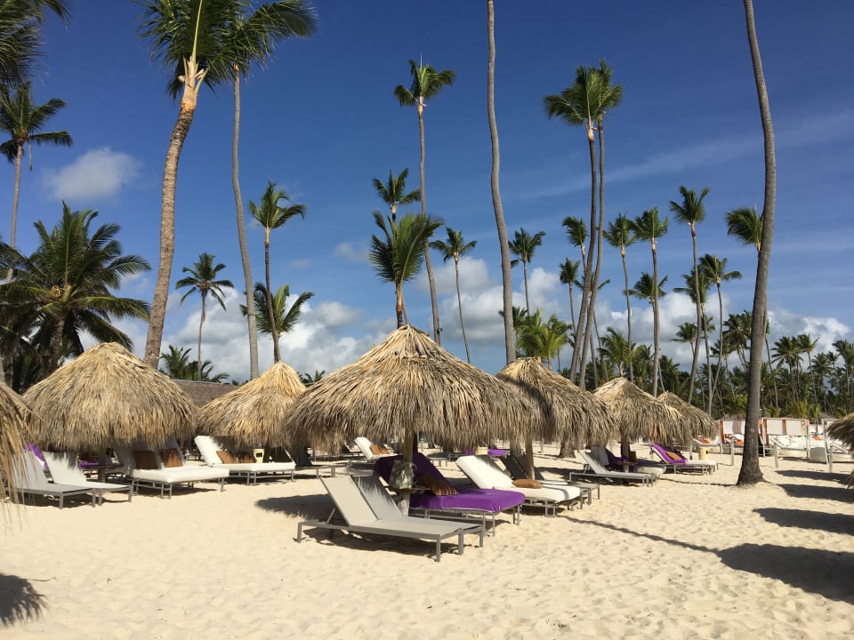 Strand Paradisus Punta Cana Resort (Im Umbau/Renovierung)