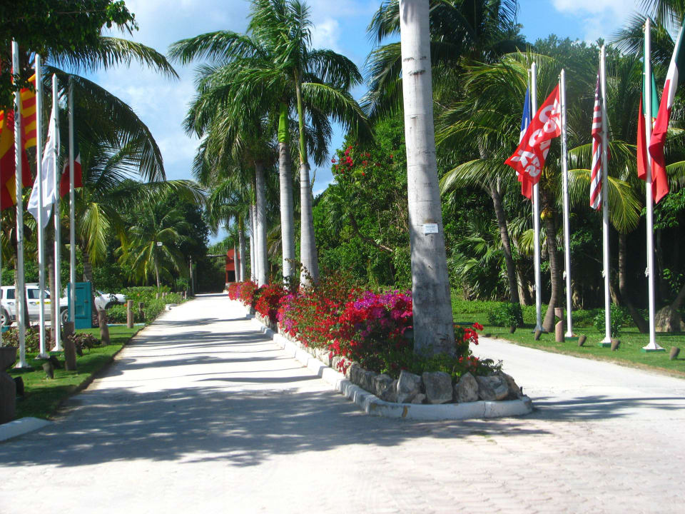 Hoteleinfahrt Catalonia Playa Maroma