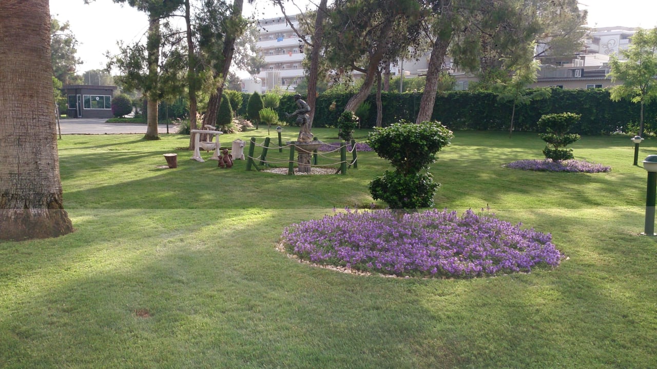 Sehr gepflegte Blütenbracht Marvida Family Eco