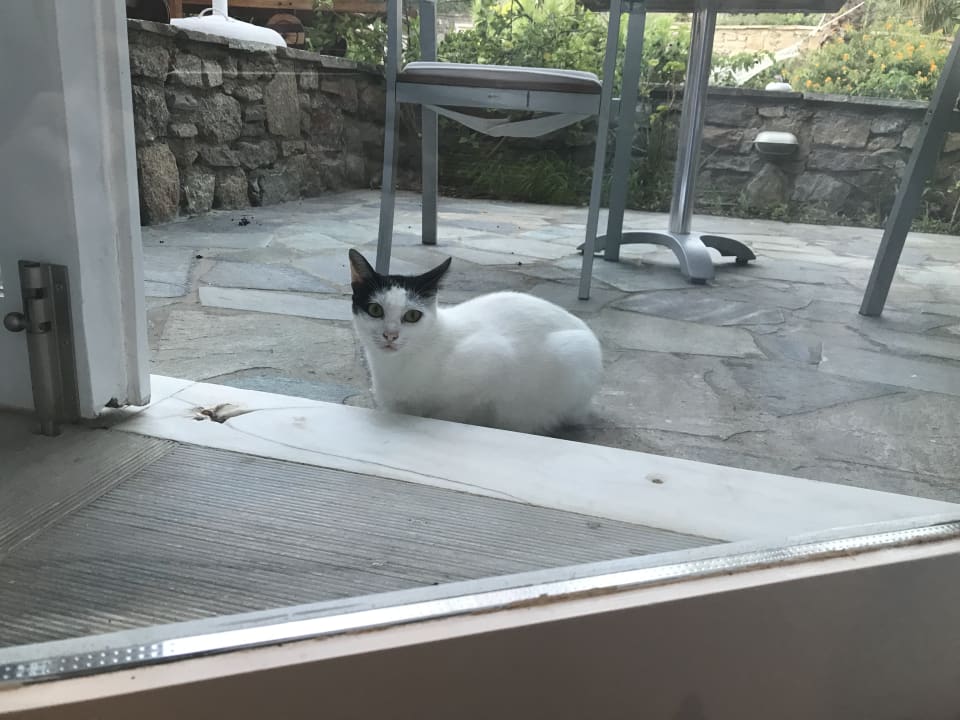 Zimmer Mykonos Theoxenia, a member of Design Hotels