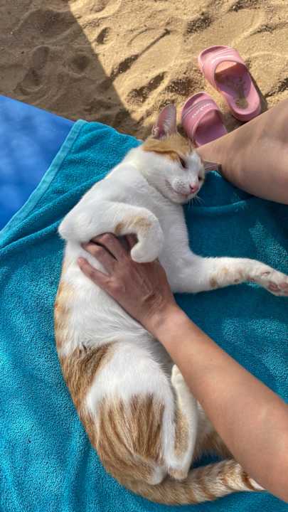 Strand Marlin Inn Azur Resort