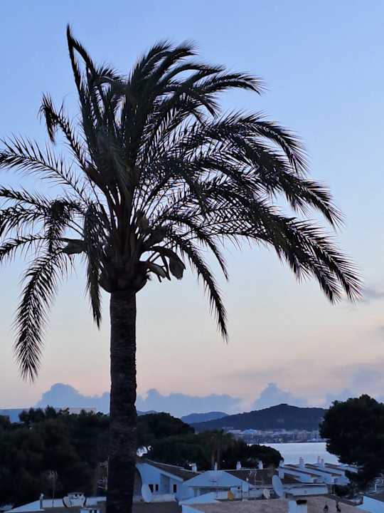 Ausblick JS Alcudi Mar