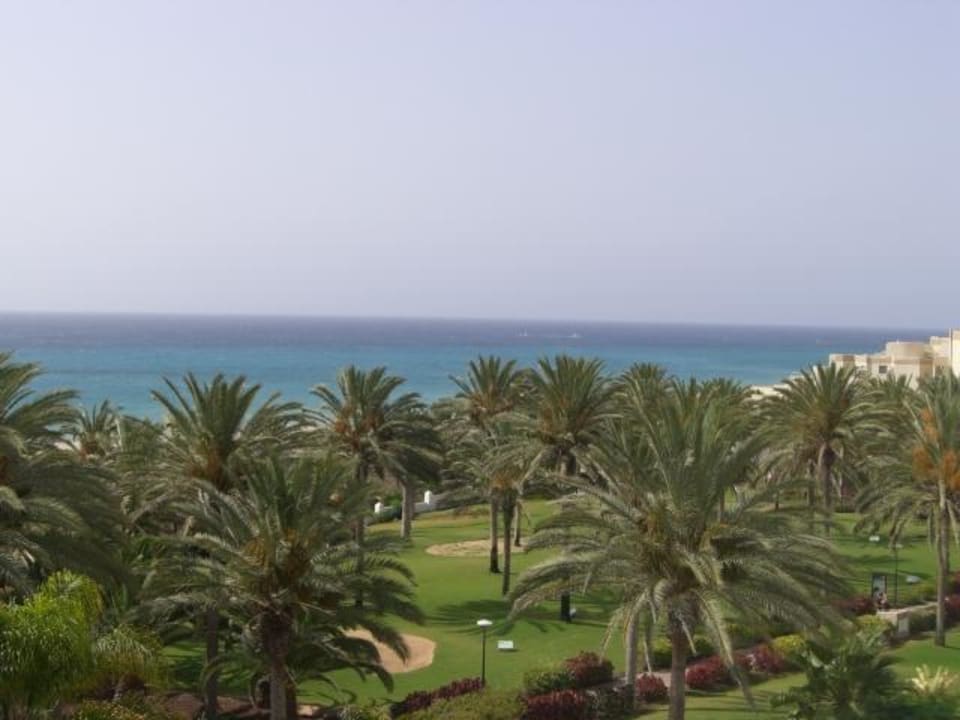 Blick aus Zimmer SBH Hotel Costa Calma Palace