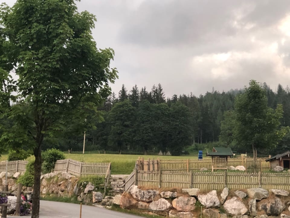 Sonstiges Die Seitenalm