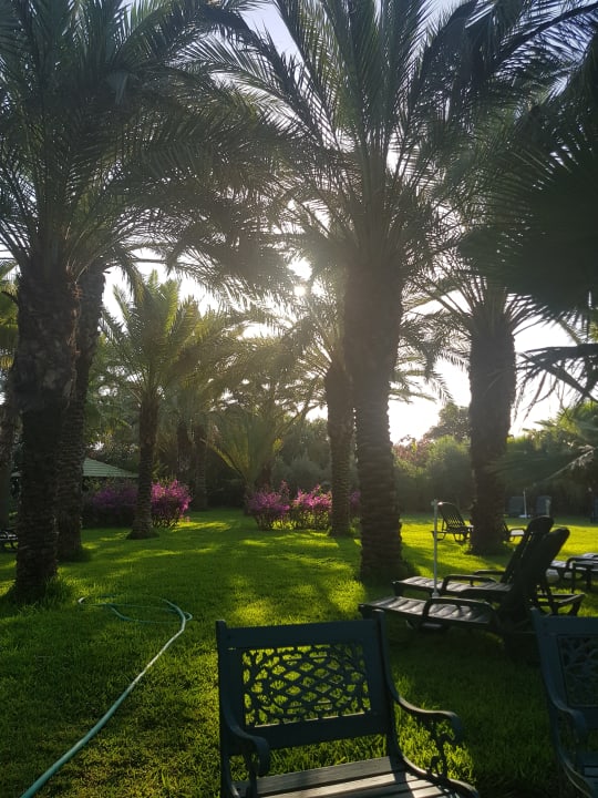 Gartenanlage Hotel Yetkin