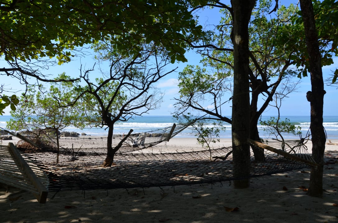 Hängematten am Strand Hotel Tropico Latino