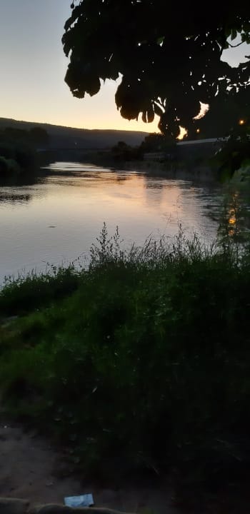 Ausblick Hotel Aegidienhof