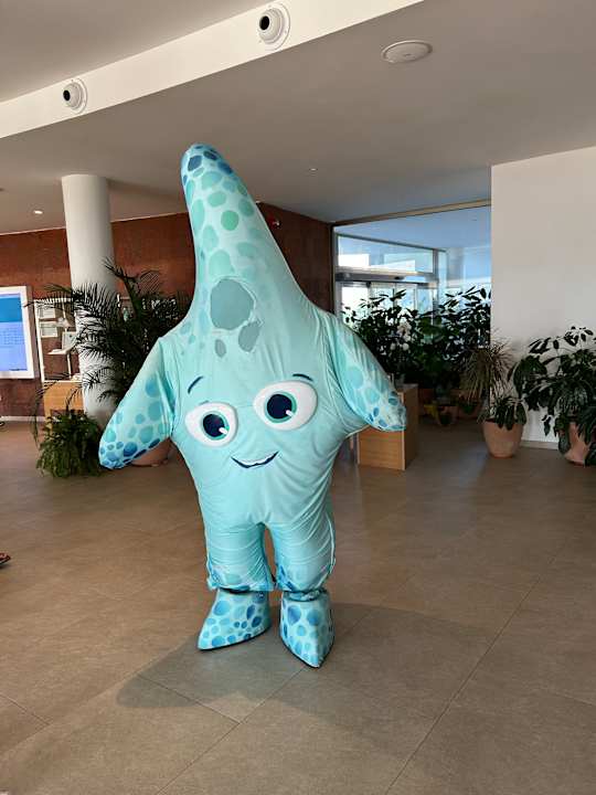 Sport & Freizeit Iberostar Waves Gaviotas Park